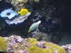 20200807093632-DSCN3703.JPG