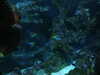 20200807093710-DSCN3704.JPG