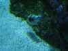 20200807093727-DSCN3706.JPG