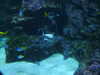 20200807093743-DSCN3707.JPG