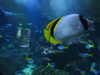 20200807093751-DSCN3708.JPG