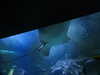 20200807093757-DSCN3709.JPG