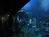20200807093804-DSCN3710.JPG