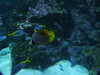 20200807093813-DSCN3711.JPG