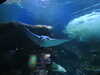 20200807093830-DSCN3713.JPG