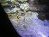 20200807093853-DSCN3715.JPG