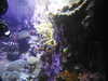 20200807093859-DSCN3717.JPG