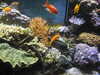 20200807093937-DSCN3721.JPG