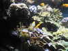 20200807093945-DSCN3722.JPG