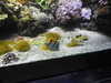 20200807093950-DSCN3723.JPG