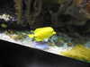 20200807094002-DSCN3724.JPG