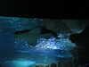 20200807094017-DSCN3725.JPG