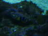 20200807094028-DSCN3726.JPG