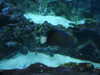 20200807094059-DSCN3729.JPG