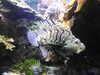 20200807094154-DSCN3730.JPG