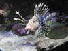 20200807094206-DSCN3732.JPG
