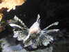 20200807094209-DSCN3733.JPG