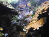 20200807094228-DSCN3734.JPG