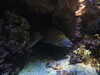 20200807094241-DSCN3735.JPG