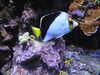 20200807094259-DSCN3737.JPG