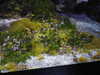 20200807094327-DSCN3738.JPG