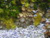 20200807094331-DSCN3739.JPG