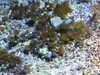 20200807094406-DSCN3740.JPG