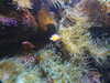 20200807094425-DSCN3741.JPG