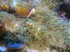 20200807094429-DSCN3742.JPG