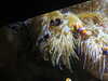 20200807094436-DSCN3743.JPG