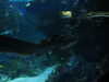 20200807094529-DSCN3748.JPG