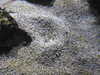 20200807094726-DSCN3756.JPG