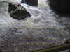 20200807094734-DSCN3759.JPG