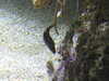 20200807094744-DSCN3760.JPG