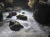 20200807094757-DSCN3763.JPG