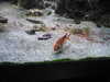 20200807094833-DSCN3766.JPG