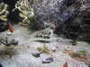 20200807094836-DSCN3767.JPG
