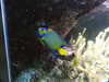 20200807094842-DSCN3768.JPG