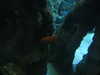 20200807094945-DSCN3776.JPG