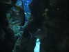 20200807094948-DSCN3777.JPG