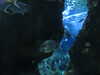 20200807094952-DSCN3778.JPG