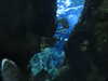 20200807094956-DSCN3779.JPG