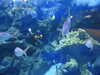 20200807095024-DSCN3781.JPG