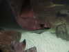 20200807095046-DSCN3783.JPG