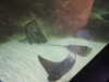 20200807095052-DSCN3784.JPG