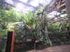 20200807095101-DSCN3785.JPG