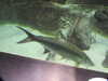 20200807095111-DSCN3786.JPG