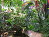 20200807095141-DSCN3789.JPG