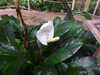 20200807095207-DSCN3790.JPG