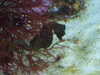 20200807095230-DSCF5175.JPG